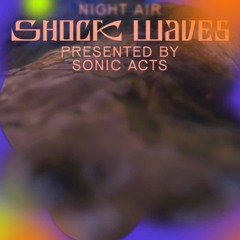 Elena Cohen – Sonic Weapons and Policing: A New York City Case Study