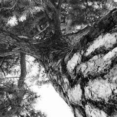 RADIO.D59B / ALCHEMY EXPERIENCES #19 w/ Yuto Takei