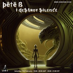 Pete B - I Destroy Silence Feb 23