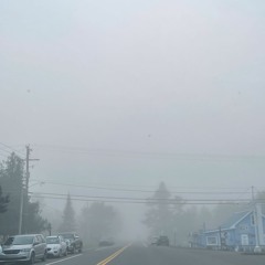 ambient from last winter (12/8/22)