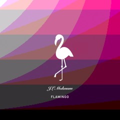 JL Moknum - Flamingo