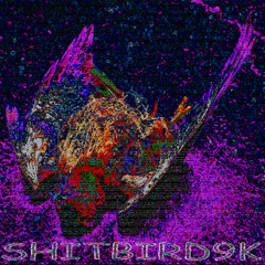 shitbird9k