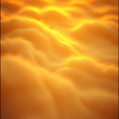 Pulse