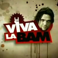 viva la bam (rubbish)