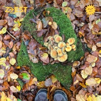 Soundcloud podcast image for Cocktail du moment - Nass