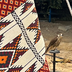 ‎⁨شمس هجركـ ⁩🎗