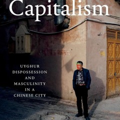 ⚡Read🔥Book Terror Capitalism: Uyghur Dispossession and Masculinity in a Chinese City