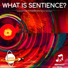 What Is Sentience? (Narration Only)