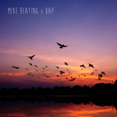 Free birds (Mike Beating & Kap)
