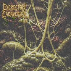 Diarreica Putrefacción