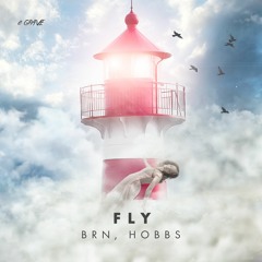 BRN, HOBBS - Fly