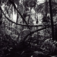 Survival