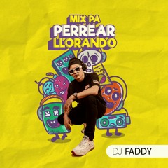 DJ FADDY - MIX PA PERREAR LLORANDO