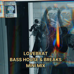 LOVEBRAT BASS HOUSE & BREAKS MINI MIX