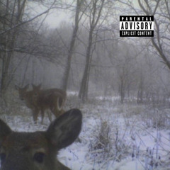 раны (prod. by Rollie)