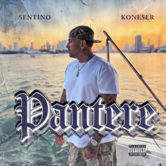 SENTINO - PANTERE (solo)