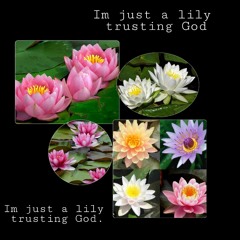 Selected hymns