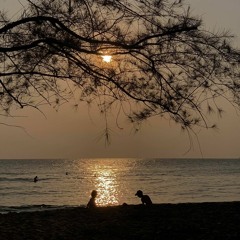 YungKetamin - Anh không biết đó là lần cuối chở em về ft WizS x WolfTL