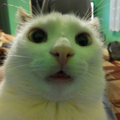 Raxdflipnote "Let's go gambling" X 2KE X-Slide