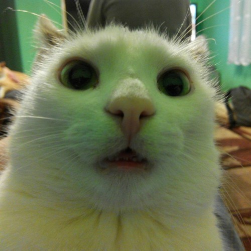 Raxdflipnote "Let's go gambling" X 2KE X-Slide