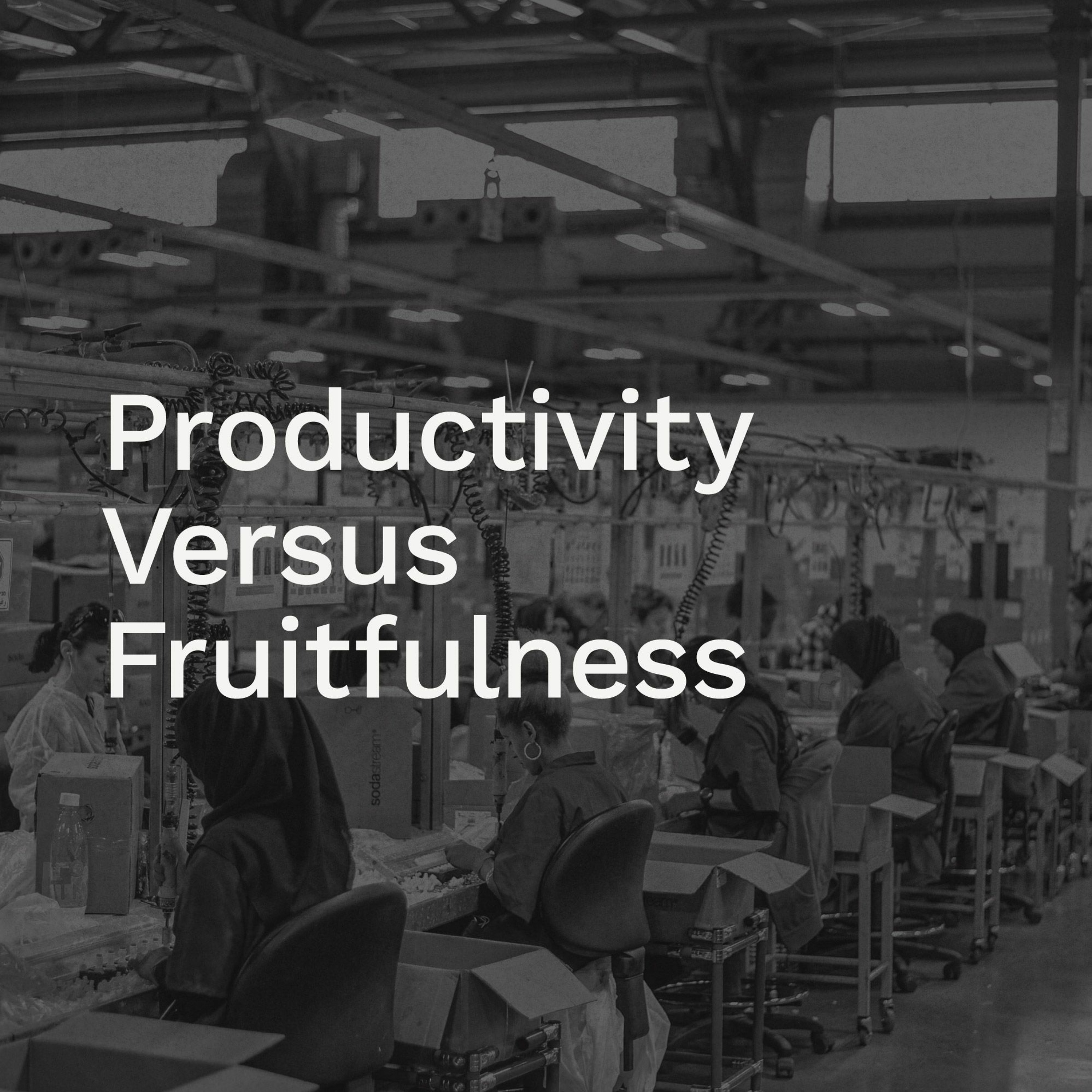 ’Productivity vs Fruitfulness’ / Amy Anderson