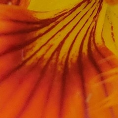 Hava7a-Syndr0m3- Mind Amend - Dotwaves - DjDOSBEQUIS - FL1P