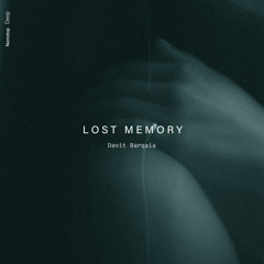 Davit Barqaia - Lost Memory