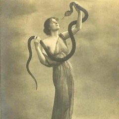 concerto for chromatic conch shell and evil salsa band