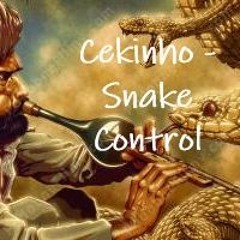 Cekinho - Snake Control A1