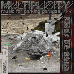 music for parking garages vol, 10: multiplicity by Balas De Agua