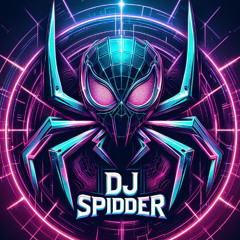DJ SPIDER 30 min mix Jan 2k25