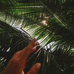 MOSS Afrohouse/Tribal House