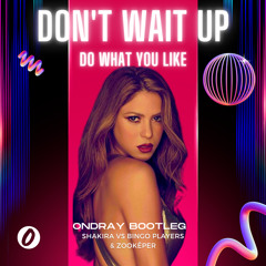 Shakira Vs Bingo Players & Zookëper - Don't Wait Up Do What You Like (Ondray Bootleg)