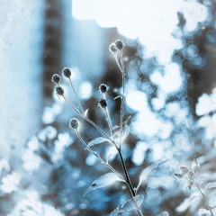 ov3r