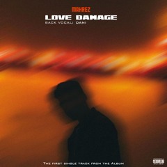Love Damage
