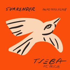 Surrender (feat. PRICIE) [Palms Trax Remix]