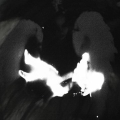 encoding (iankidd x u+me)