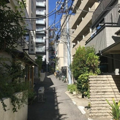 granulizer 𓆩✧𓆪 (haiku for the rain) [2024]