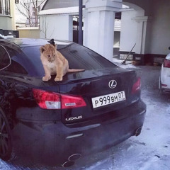 ravshan не раслабляйся