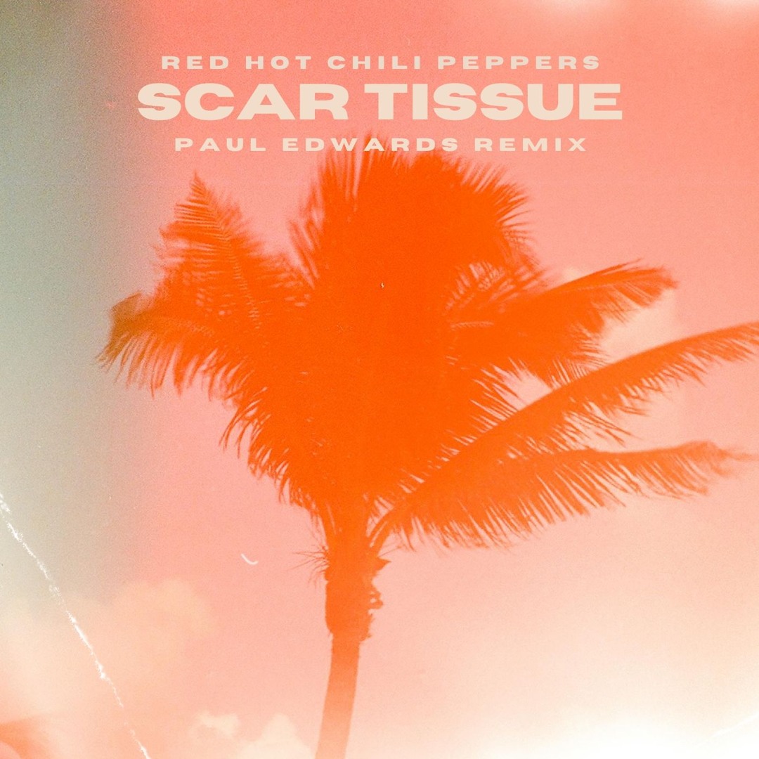 Stream Red Hot Chili Peppers - Scar Tissue (Paul Edwards Remix) by