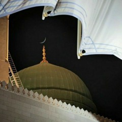 إلى طيبة وما في الكون بقعة مثل طيبه