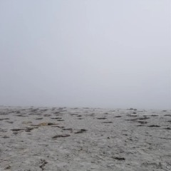 Watch The Hurricane Roll In