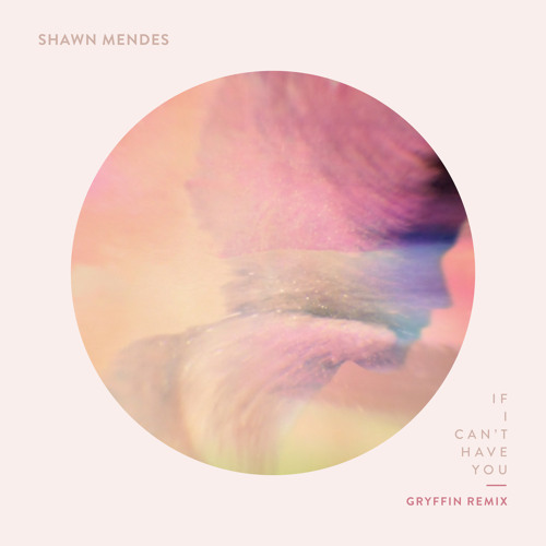 Shawn Mendes, Gryffin - If I Can't Have You