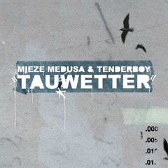 Nicht meine Revolution (feat. Violetta Parisini)