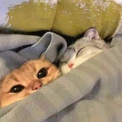 As Vezes Imagino Te Perder