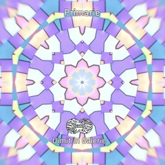 Primărie - Uimit in Galerie • Zebra Rec [ZBR025022] (snippet)