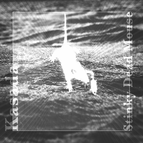 Kasada - Stinky Dead Mouse