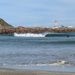 thalassophile