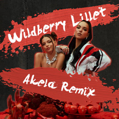 Nina Chuba - Wildberry Lillet ft. Juju (Akela Remix)