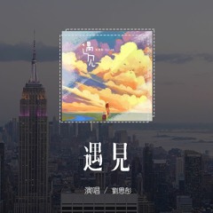 刘思彤 - 遇见 (新版)(原唱：孙燕姿)「我遇见谁 会有怎样的对白，我等的人 他在多远的未来」(4k Video)【動態歌詞/pīn yīn gē cí】#刘思彤 #遇见 #孙燕姿 #動態歌詞